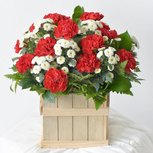 Lời Chúc Tháng Mười - 02