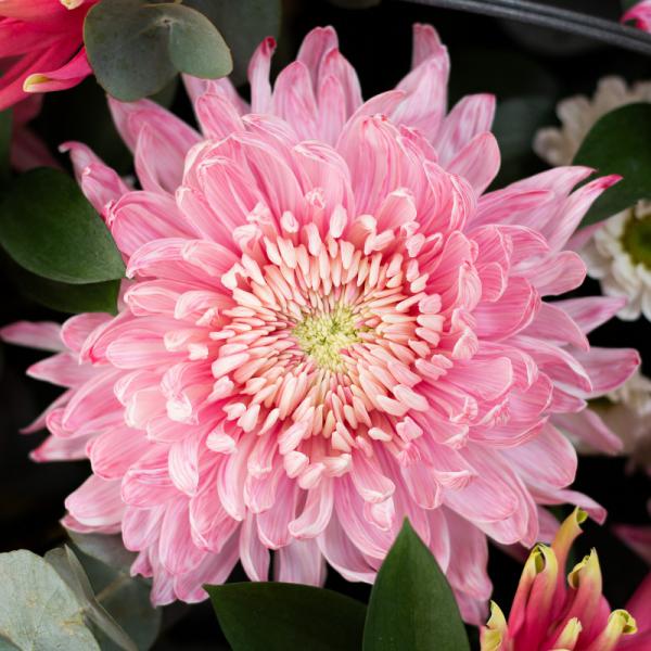 Giỏ Hoa Nắng Ấm Dịu Dàng 078