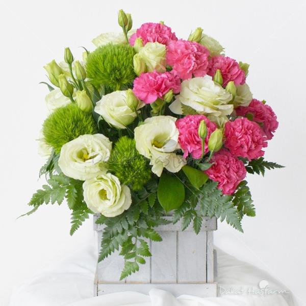 Một Ngày Hạnh Phúc