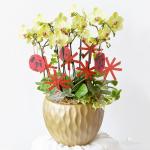 Năm Mới Thịnh Vượng