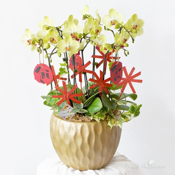 Năm Mới Thịnh Vượng