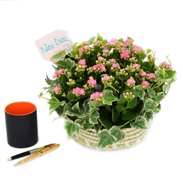 Giỏ Hoa Chậu Thiết Kế Trường Thọ 024