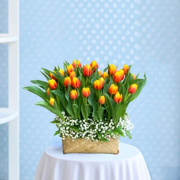 Giỏ Hoa Tulip 023