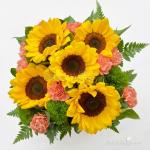 Như Hoa Hướng Dương