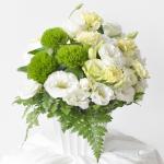 Niềm Vui Ngọt Ngào