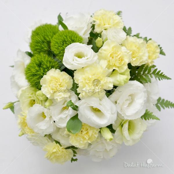 Niềm Vui Ngọt Ngào