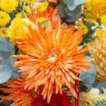 Giỏ Hoa Tết Sung Túc 141