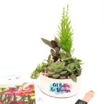 Chậu Trang Trí Khu Vườn Xanh Mát 019