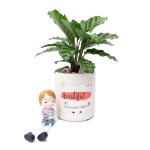 Chậu Trang Trí Thiên Nhiên Trong Lành 013