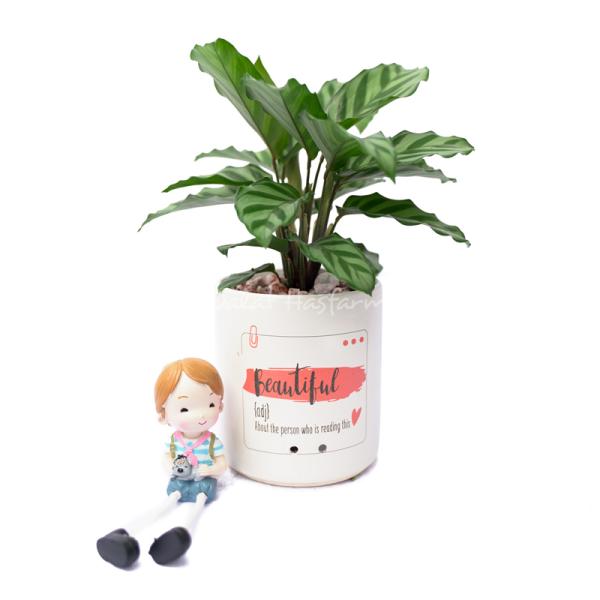 Chậu Trang Trí Thiên Nhiên Trong Lành 013