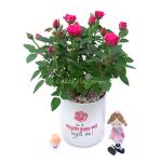 Chậu Trang Trí Không Gian Tươi Mới 018