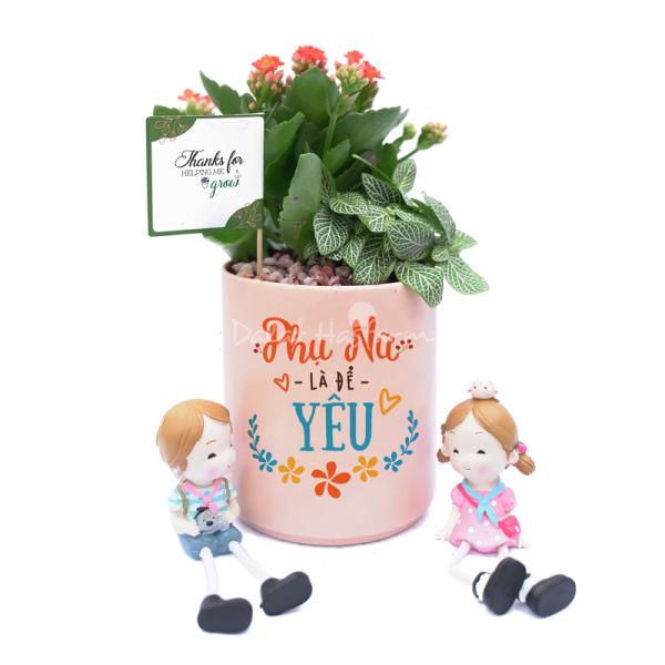 Chậu Trang Trí Sắc Màu Cảm Hứng 008