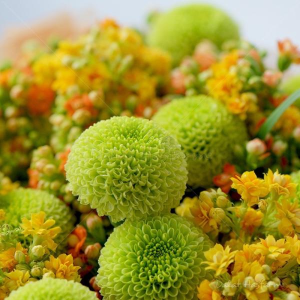 Bó Hoa Lời Chúc Trường Thọ 047