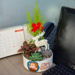 Chậu Trang Trí Plant 4You 01