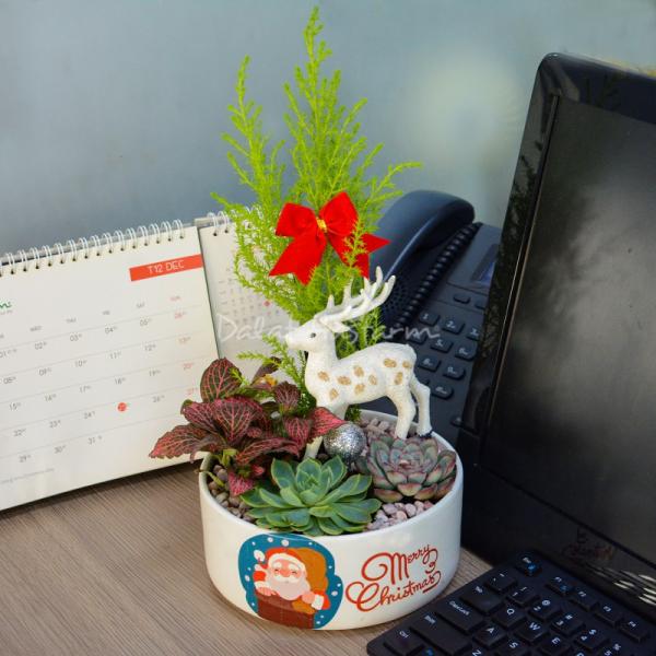 Chậu Trang Trí Plant 4You 01