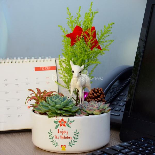 Chậu Trang Trí Plant 4You 01