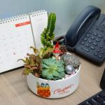 Chậu Trang Trí Plant 4You 02