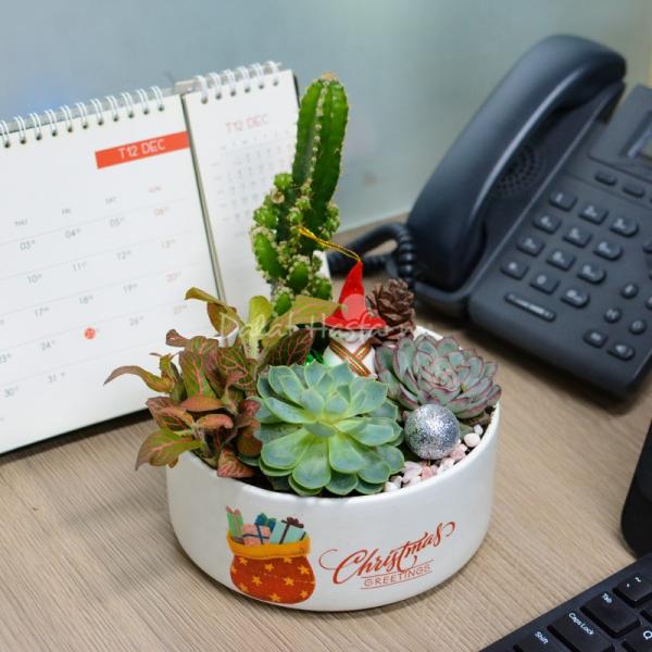 Chậu Trang Trí Plant 4You 02