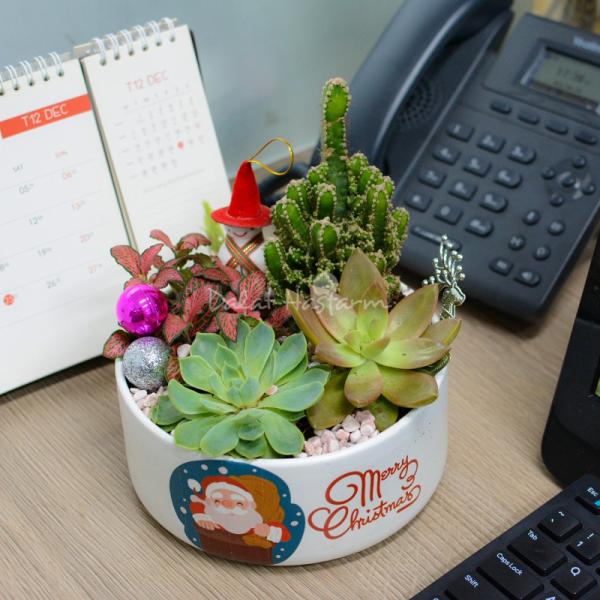 Chậu Trang Trí Plant 4You 02