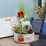 Chậu Trang Trí Plant 4You 01