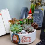 Chậu Trang Trí Plant 4You 02