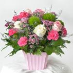 Sắc Màu Mộng Mơ