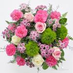 Sắc Màu Mộng Mơ