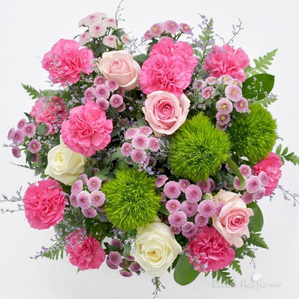 Sắc Màu Mộng Mơ