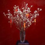 Đào Nhật - Tết Vui Chan Hòa