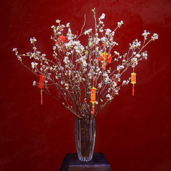 Đào Nhật - Tết Vui Chan Hòa