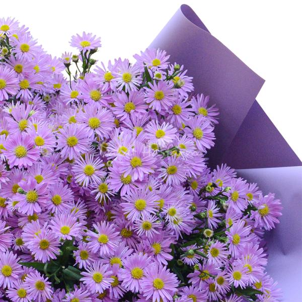 Bó Hoa Thạch Thảo Mộc Mạc 164