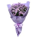 Bó Hoa Thạch Thảo Mộc Mạc 164