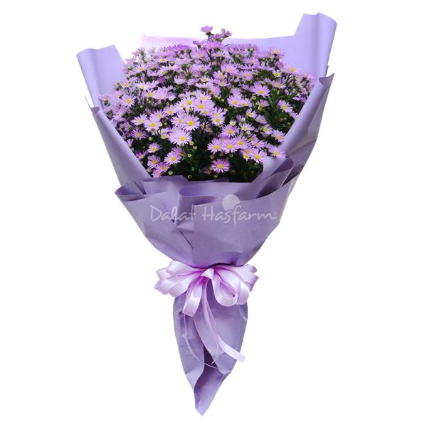 Bó Hoa Thạch Thảo Mộc Mạc 164