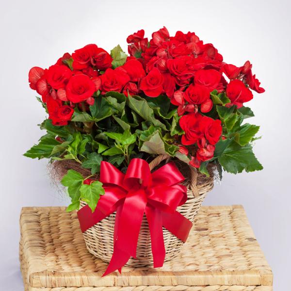 Giỏ Hoa Thiết Kế Ấm Áp 029