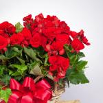 Giỏ Hoa Thiết Kế Ấm Áp 029