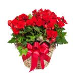 Giỏ Hoa Thiết Kế Ấm Áp 029