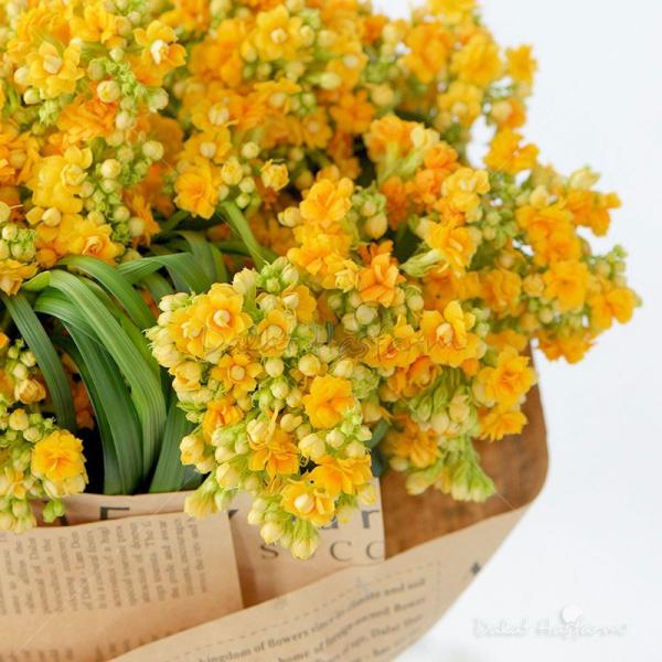 Bó Hoa Lời Chúc Trường Thọ 054