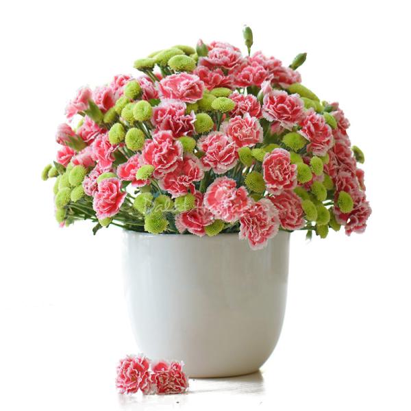 Bình Hoa Trao Yêu Thương 058