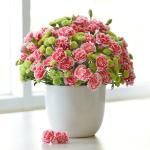 Bình Hoa Trao Yêu Thương 058