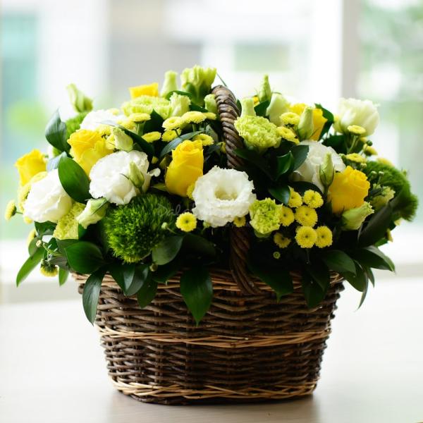 Giỏ Hoa Dẫn Lối Yêu Thương 162