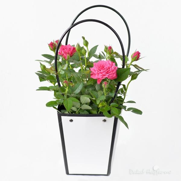 Giỏ Giấy Hoa Hồng 032