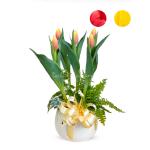 Chậu Hoa Thiết Kế Sắc Xuân 071