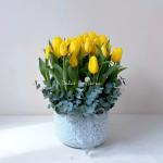 Bình Hoa Tulip 562