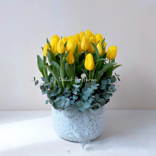 Bình Hoa Tulip 562