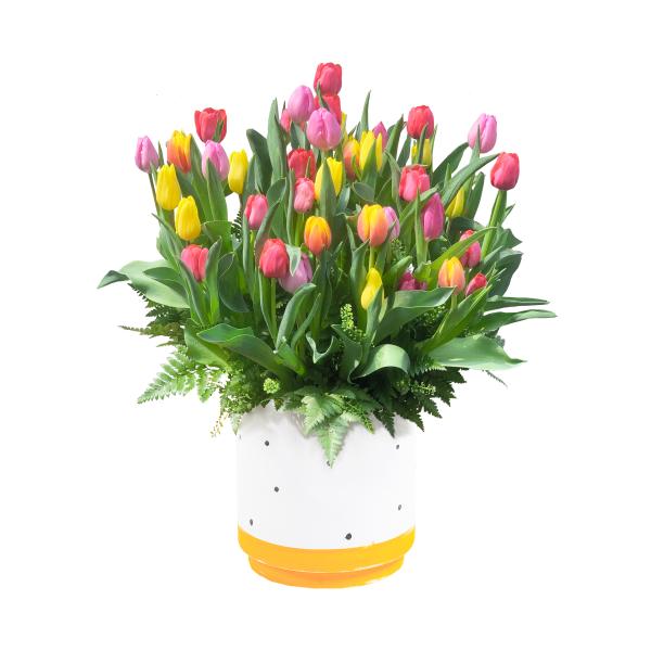 Bình Hoa Tulip 003