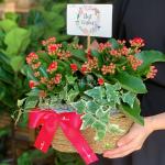 Chậu Hoa Thiết Kế Trường Thọ 064