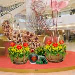 Đón Năm Mới Bình An