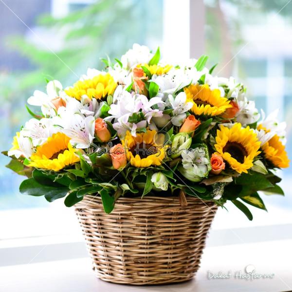 Giỏ Hoa Ánh Dương Rực Rỡ 067