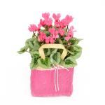 Giỏ Hoa Anh Thảo 004