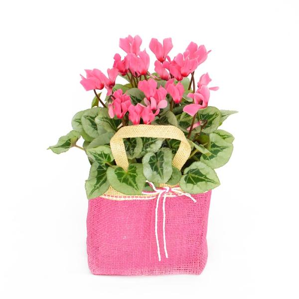 Giỏ Hoa Anh Thảo 004